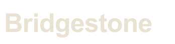 Bridgestone — organization represented in our team's delivery history