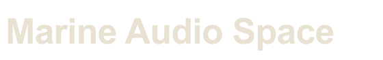 Marine Audio Space — organization represented in our team's delivery history
