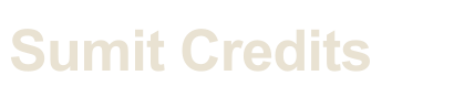 Sumit Credits — organization represented in our team's delivery history