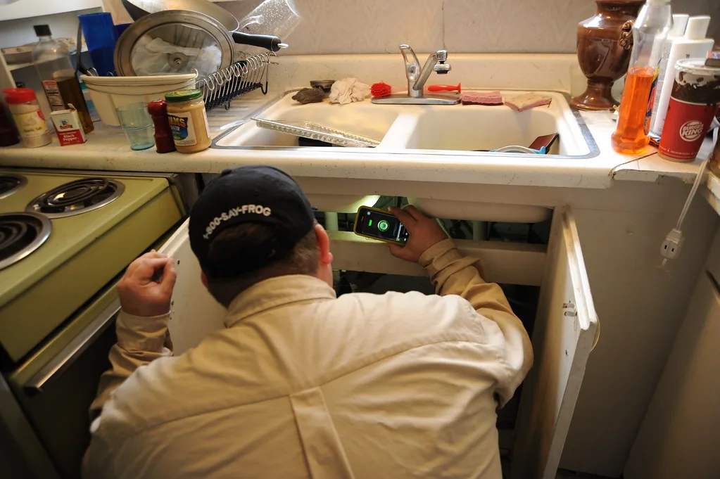 A pest control technician inspecting under a kitchen sink with a flashlight